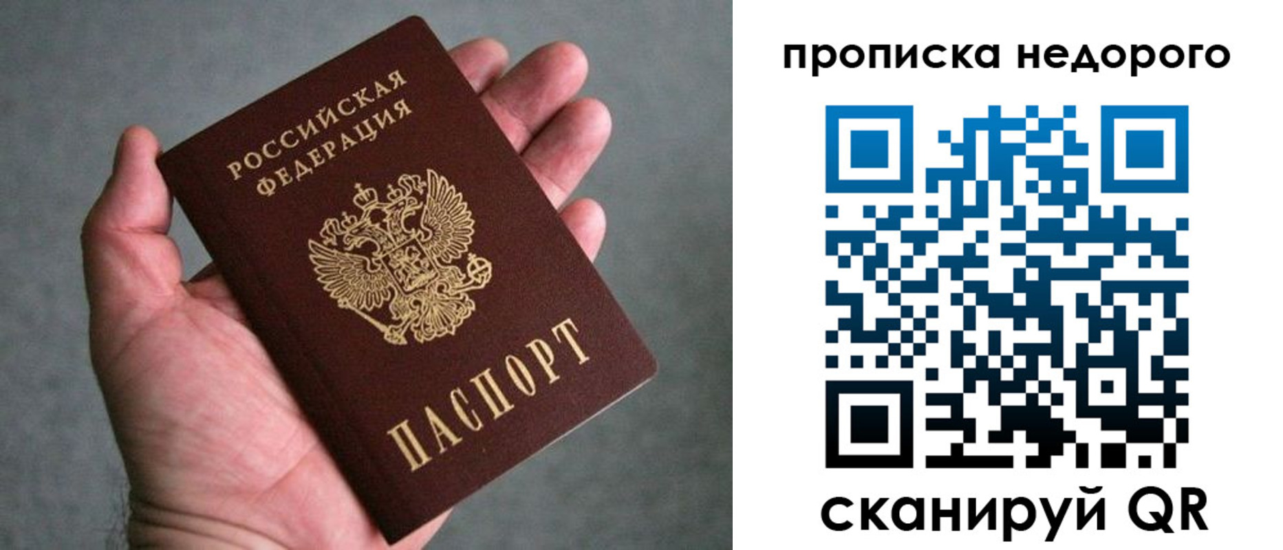 прописка для школы в Красногорске